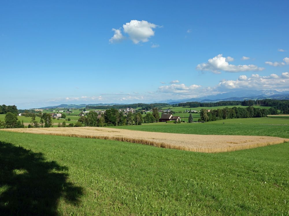 Blick Richtung Lenggenwil