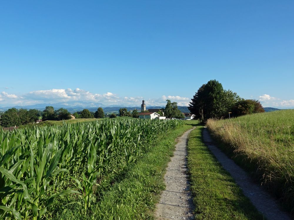 Kirche von Zuzwil