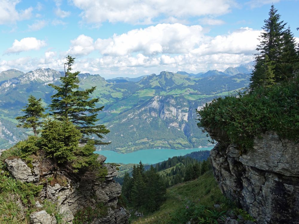 Mittel Band und Walensee