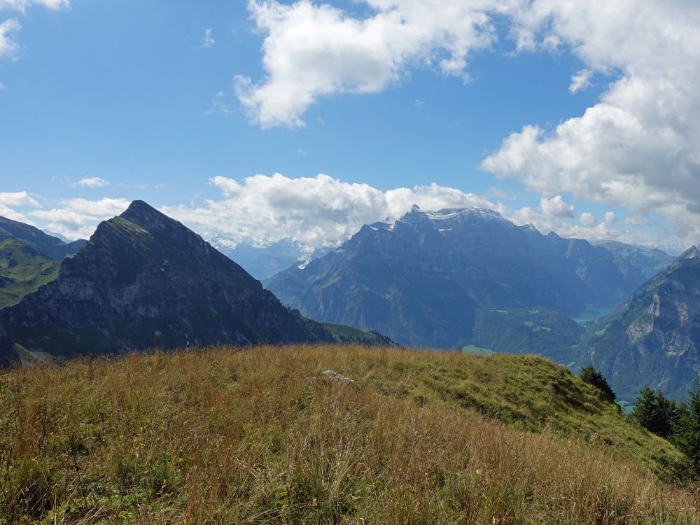 Fronalpstock und Glärnisch