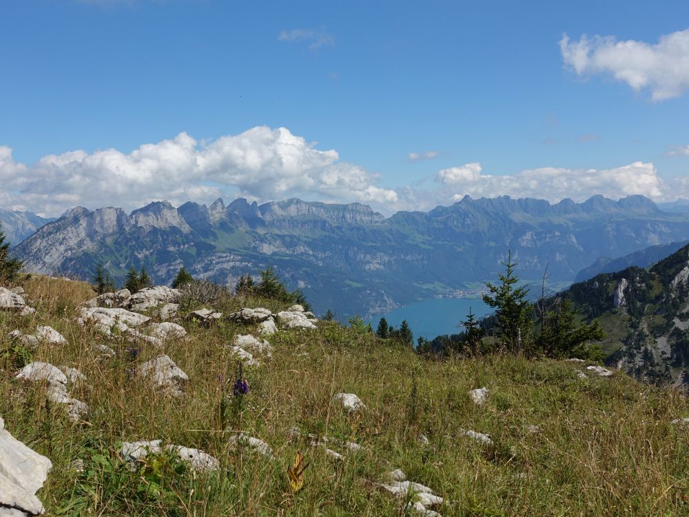 Churfirsten und Alvierkette