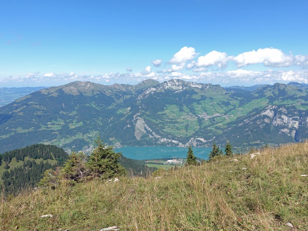 Federispitz, Speer und Mattstock überm Walensee