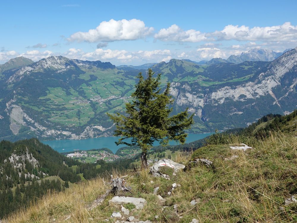 Mattstock und Gulmen überm Walensee