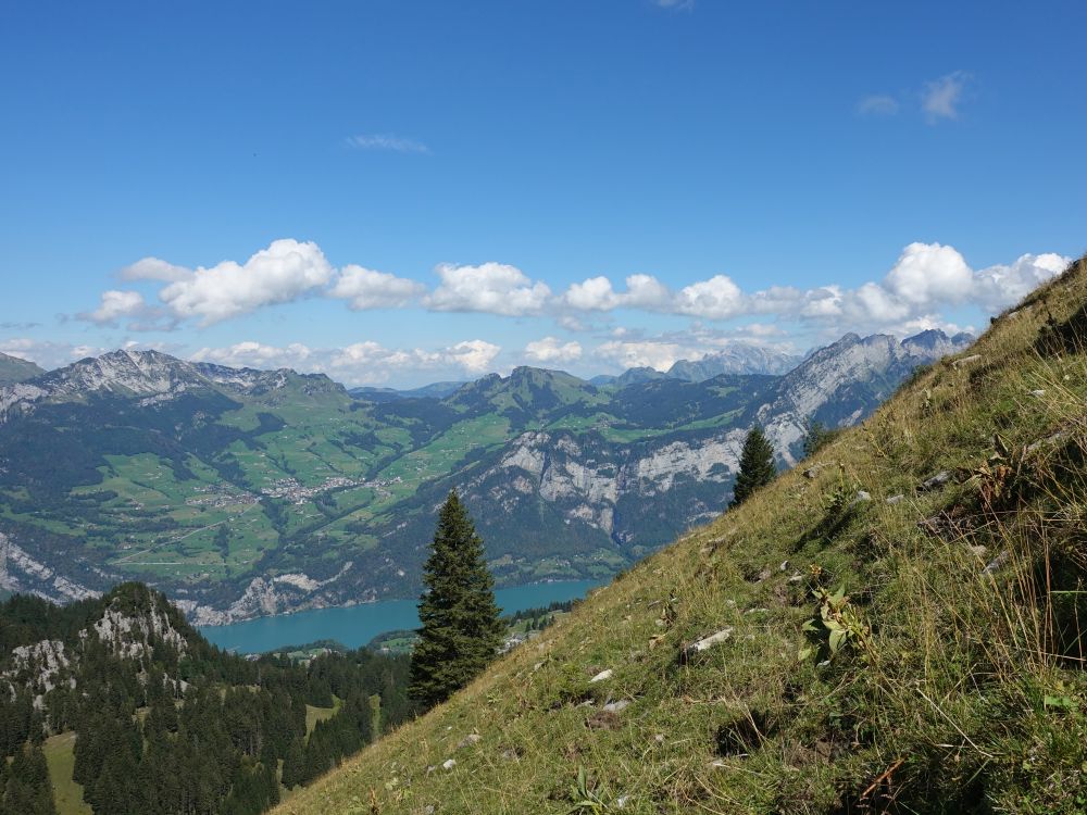 Walensee mit Amden und Mattstock bis Säntis