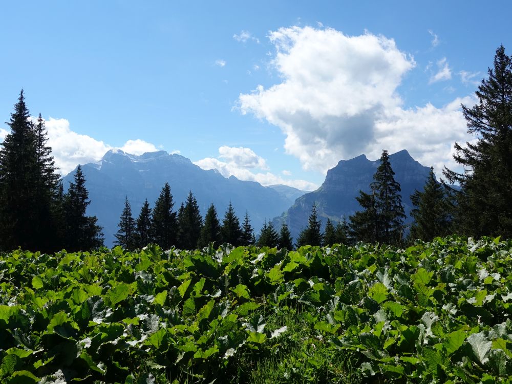 Glärnisch, Wiggis und Rautispitz