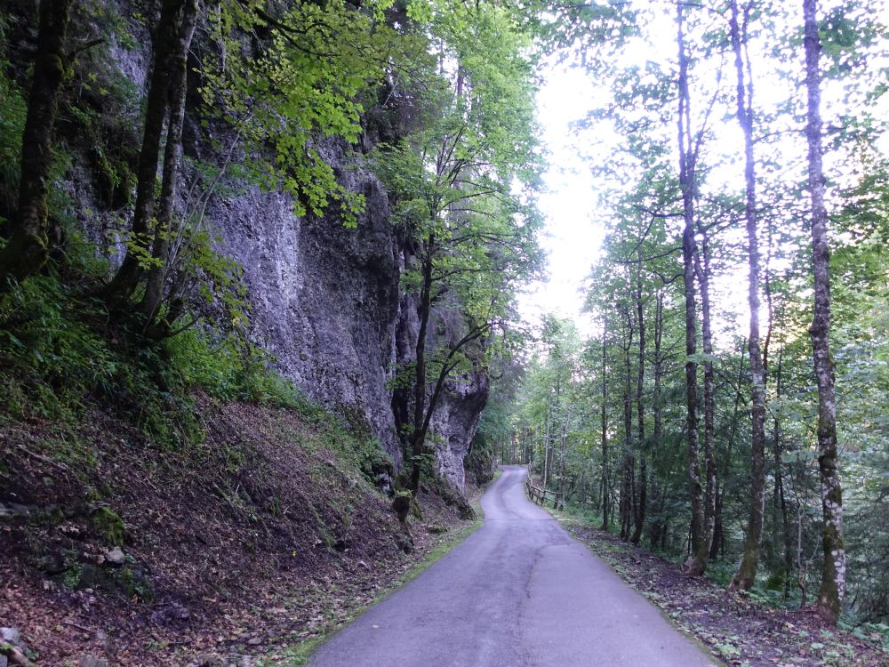 Strässchen bei Talhütten