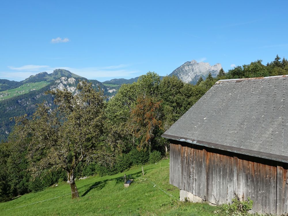 Scheune bei Gschwänder