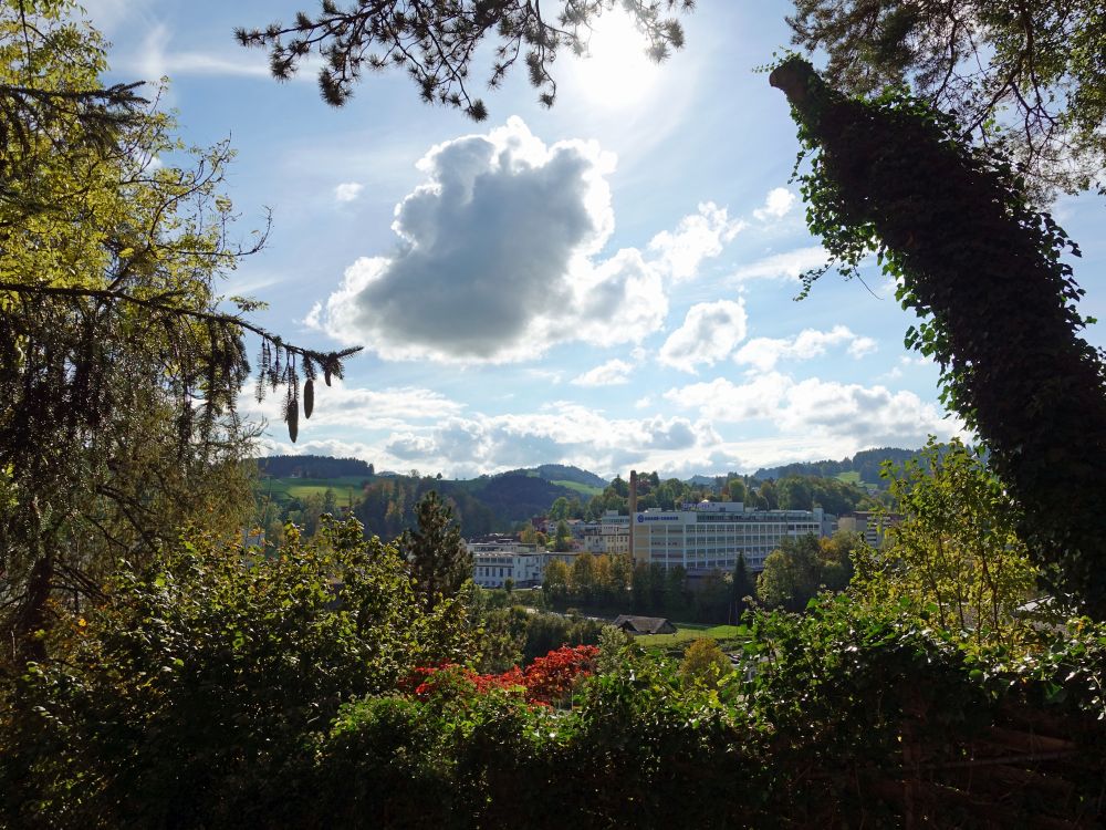 Fabrik in Herisau