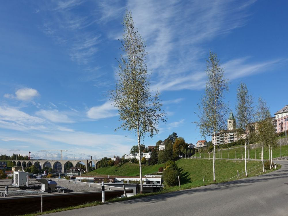 Glatttal-Viadukt und Mühlestrasse