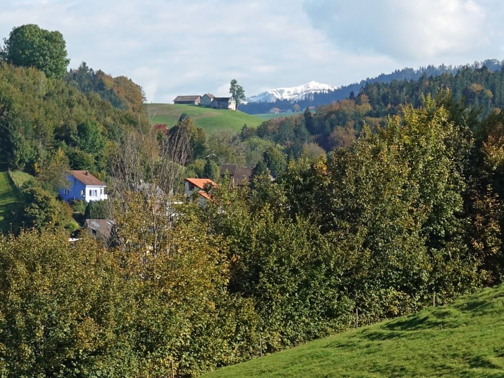 Bauernhof Rechberg mit Kamor
