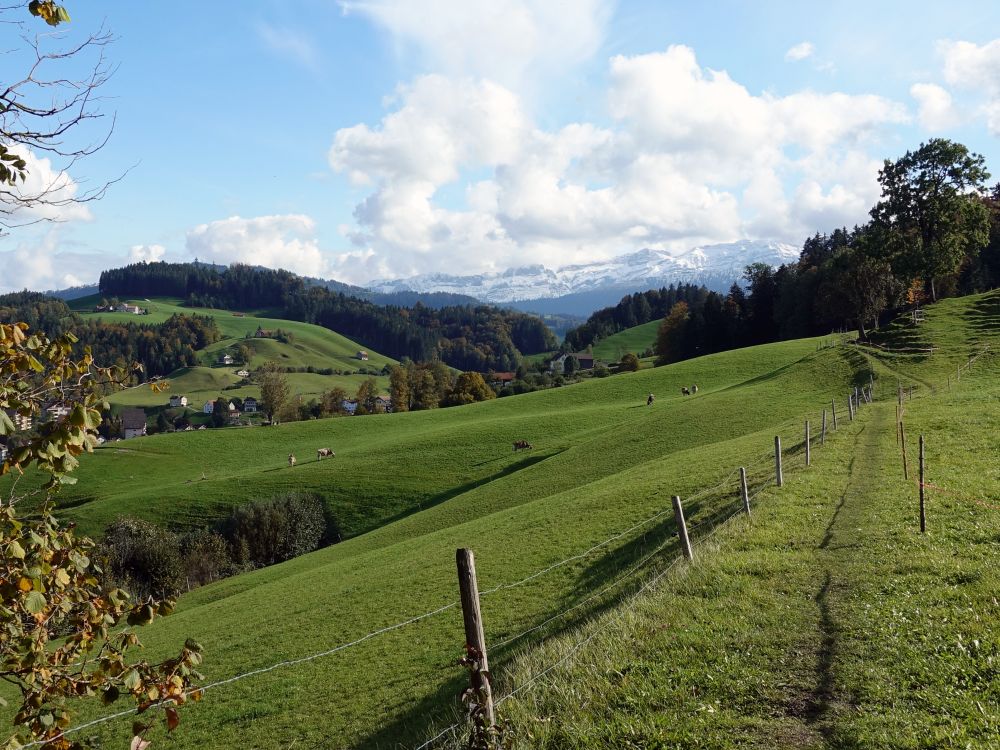 Blick Richtung Säntis