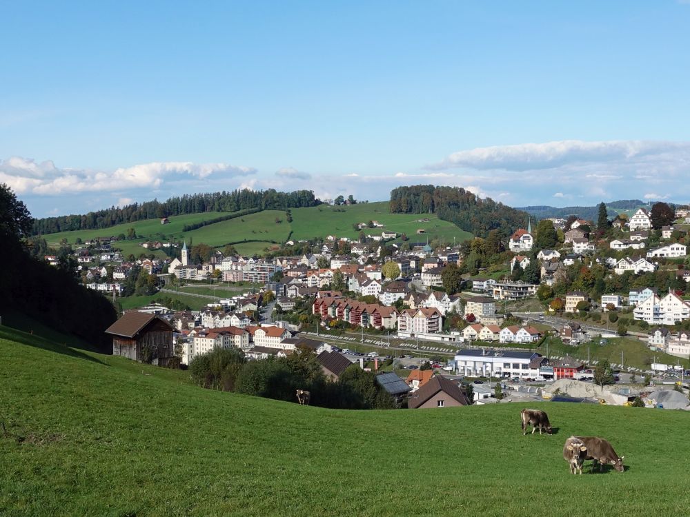 Herisau