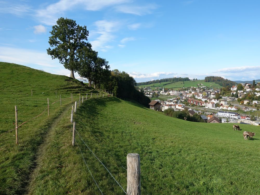 Blick Richtung Herisau