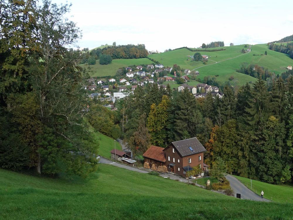 Haus bei Ebnet