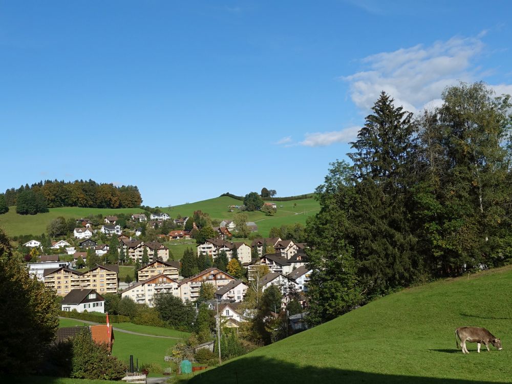 Herisau