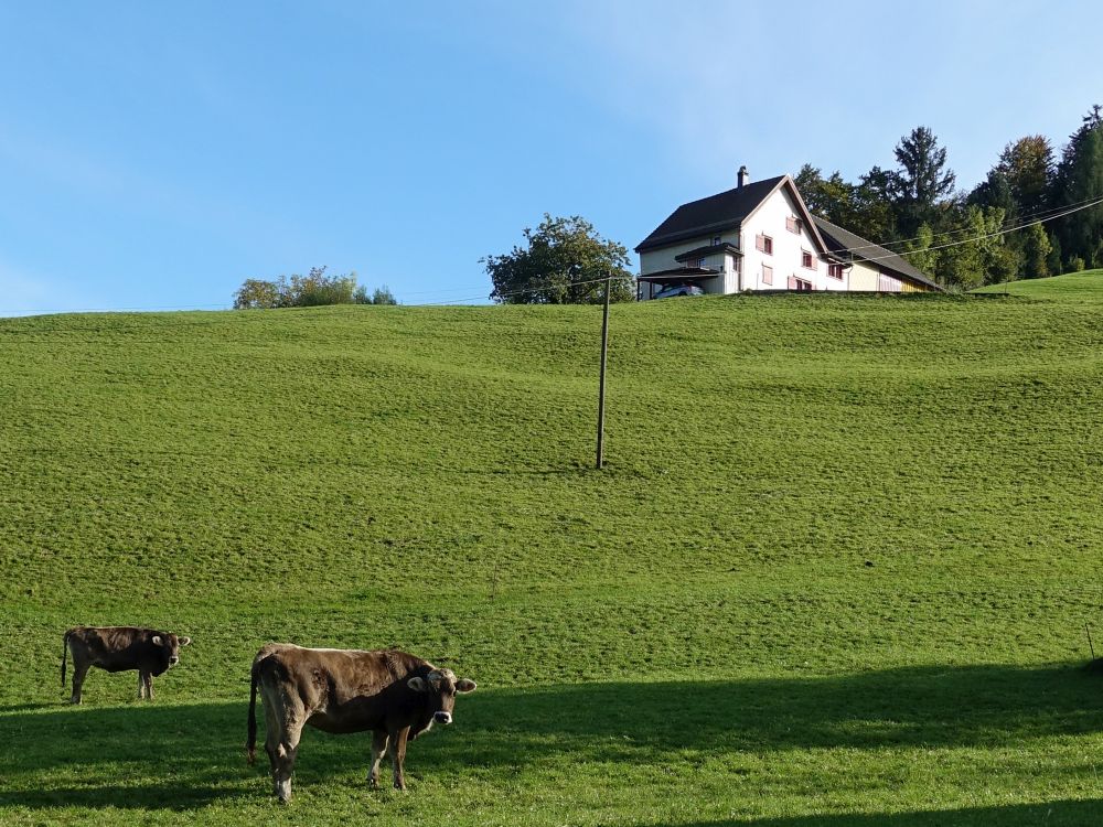 Bauernhaus über Chleb