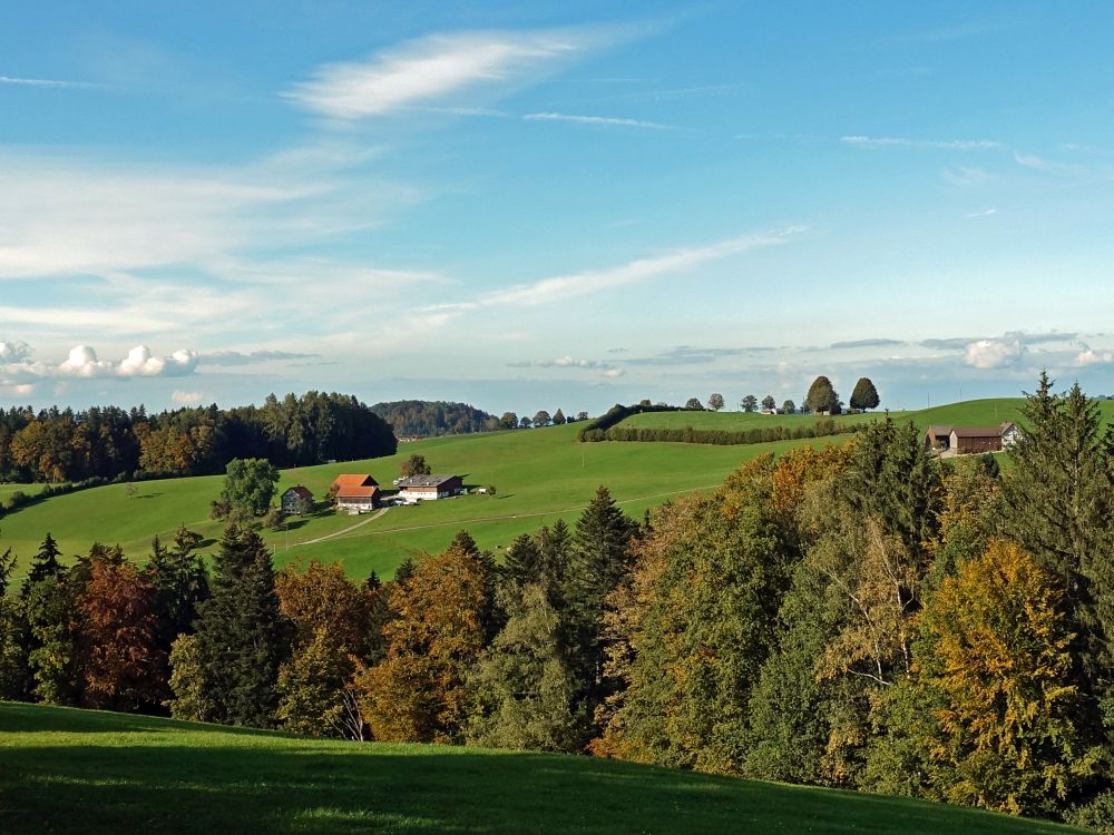 Bauernhof am Langelen