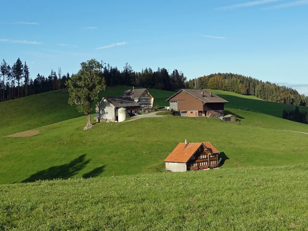 Bauernhof Rechberg