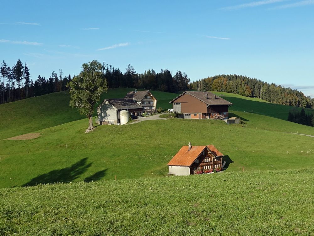 Bauernhof Rechberg