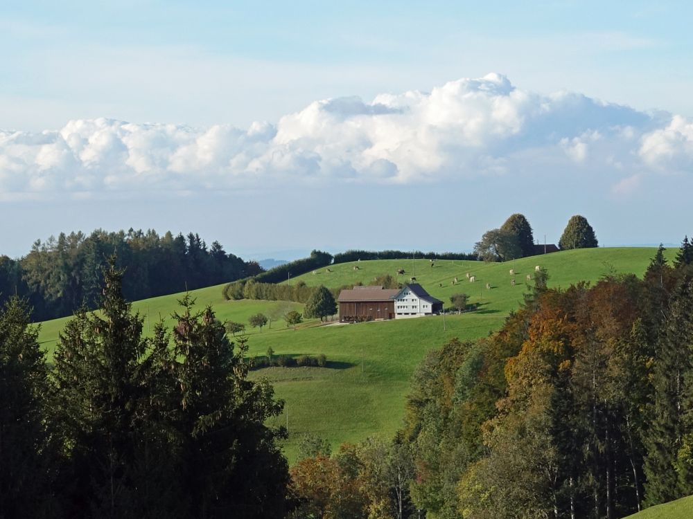 Bauernhof am Langelen