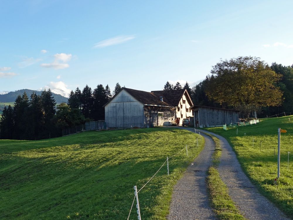 Bauernhaus bei Wald