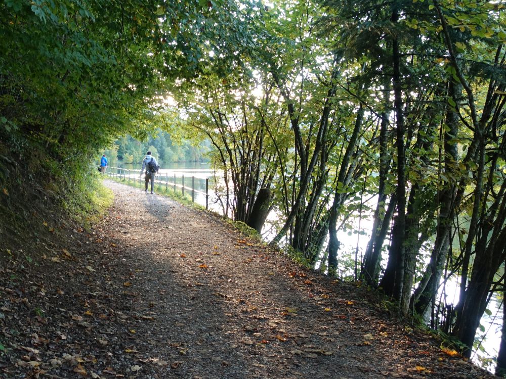 Uferweg am Gübsensee