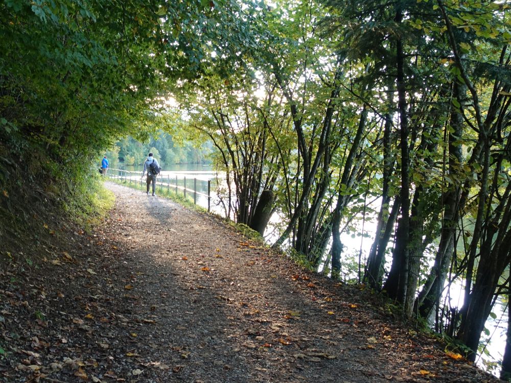 Uferweg am Gübsensee