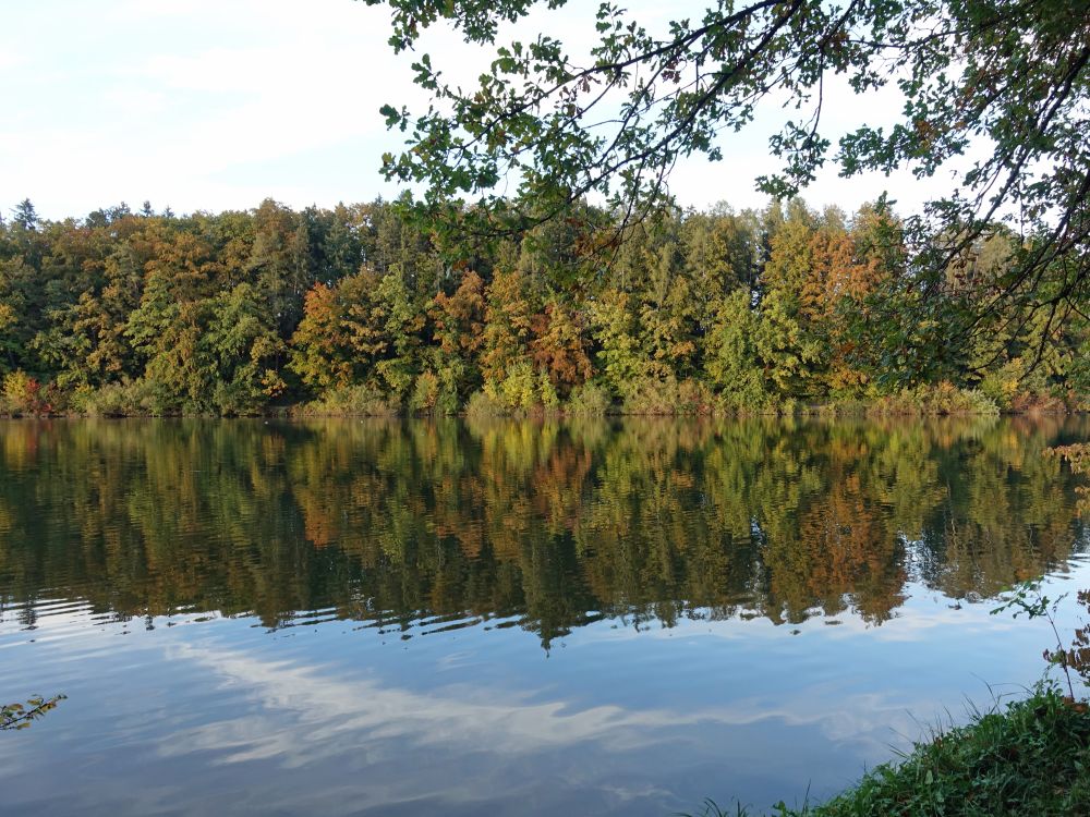 Spiegelung im Gübsensee