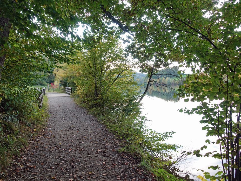 Uferweg am Gübsensee