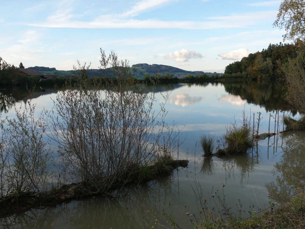 Spiegelung im Gübsensee