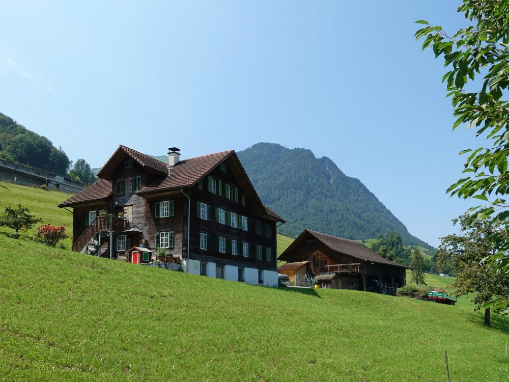 Bauernhaus und Buochserhorn