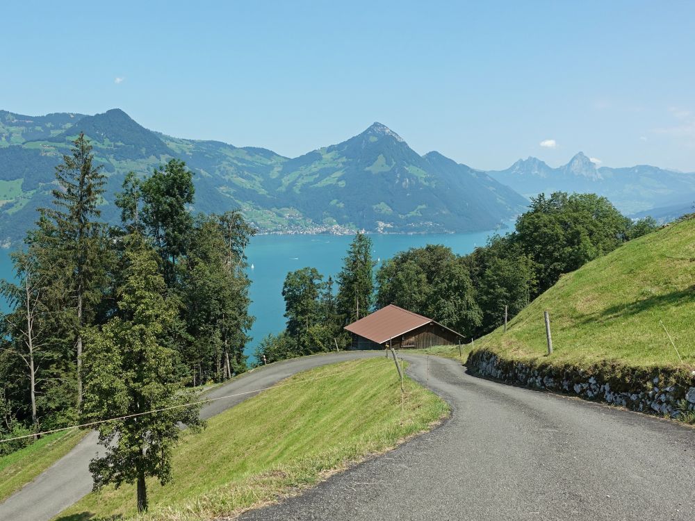 Blick zur Rigi Flue