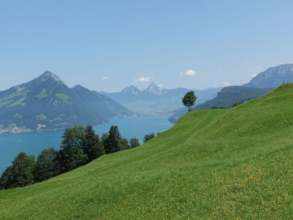 Rigi Flue und Mythen