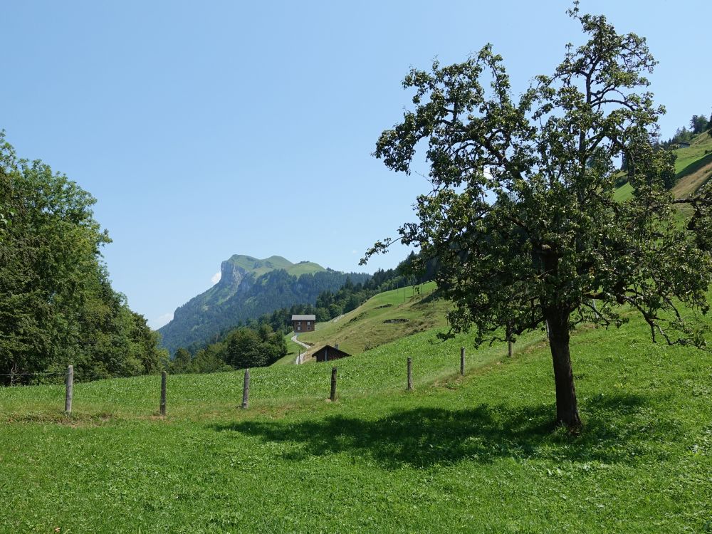 Blick Richtung Niderbauen