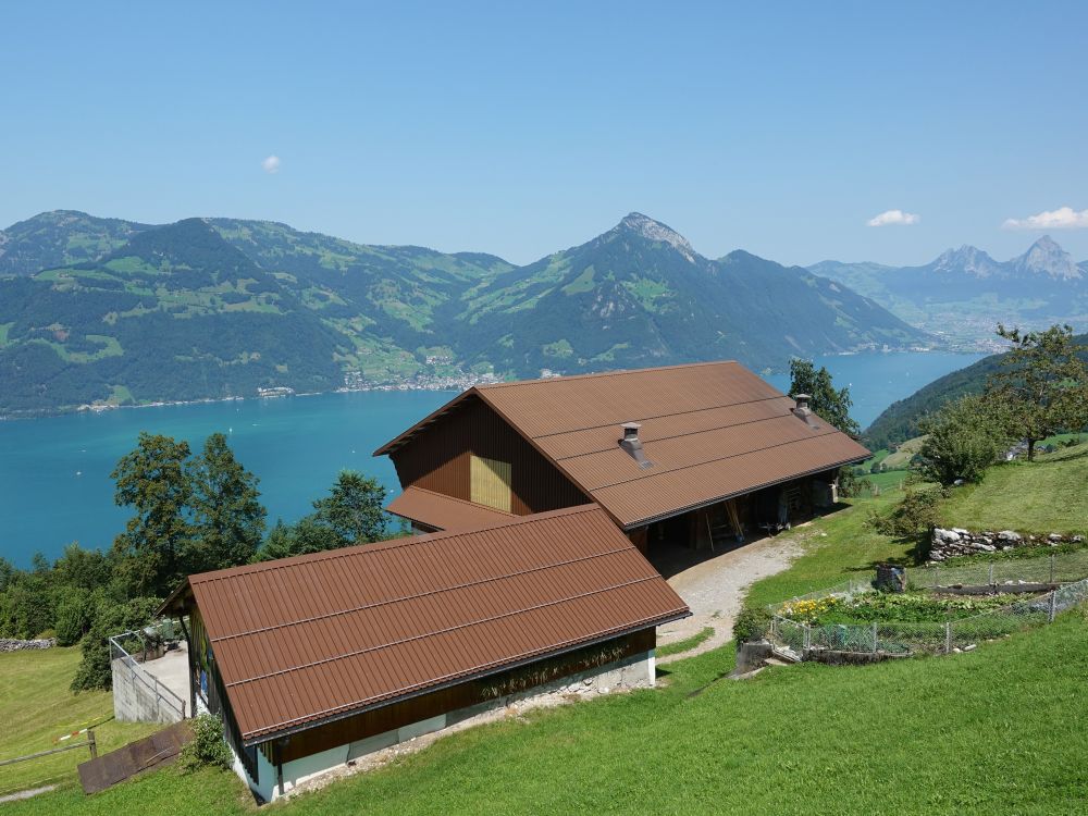 Bauernhof mit Rigi Flue