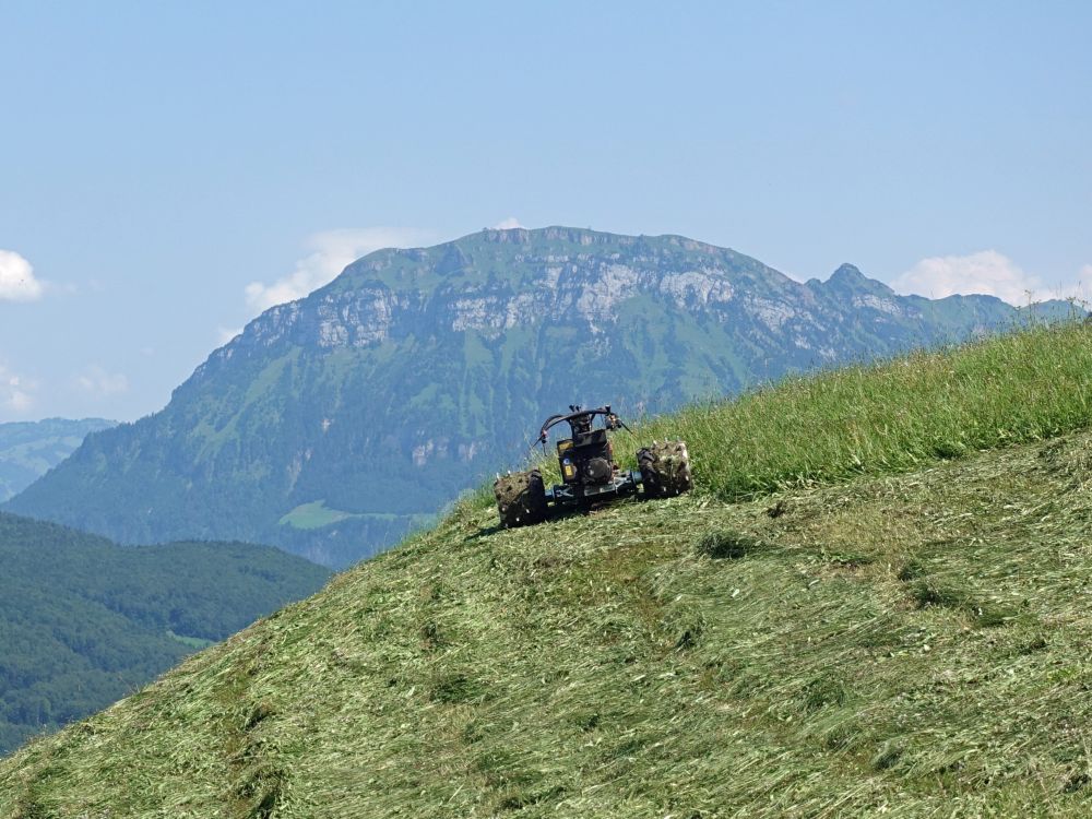 Mähwerkzeug und Fronalpstock