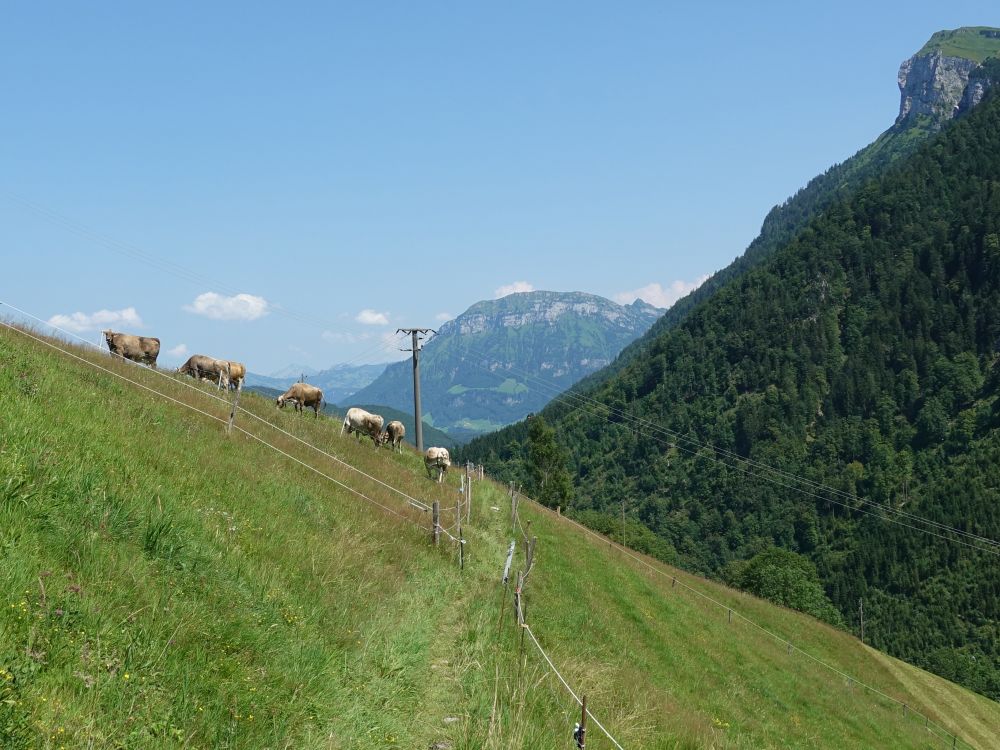 Blick Richtung Fronalpstock