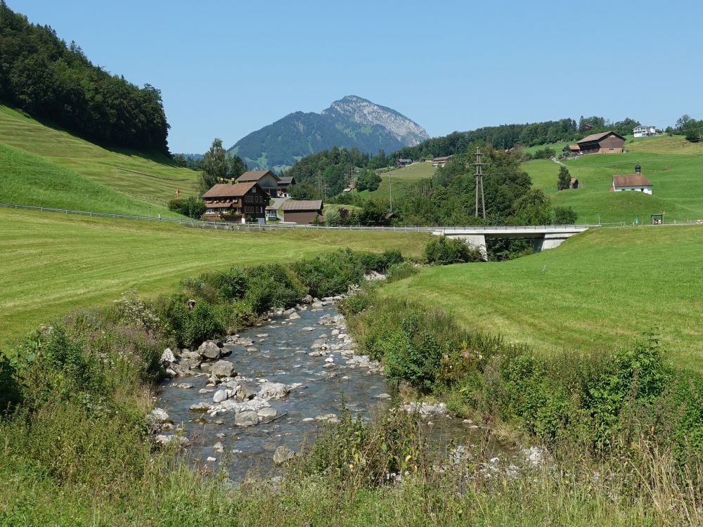 Choltalbach und Rigi Flue