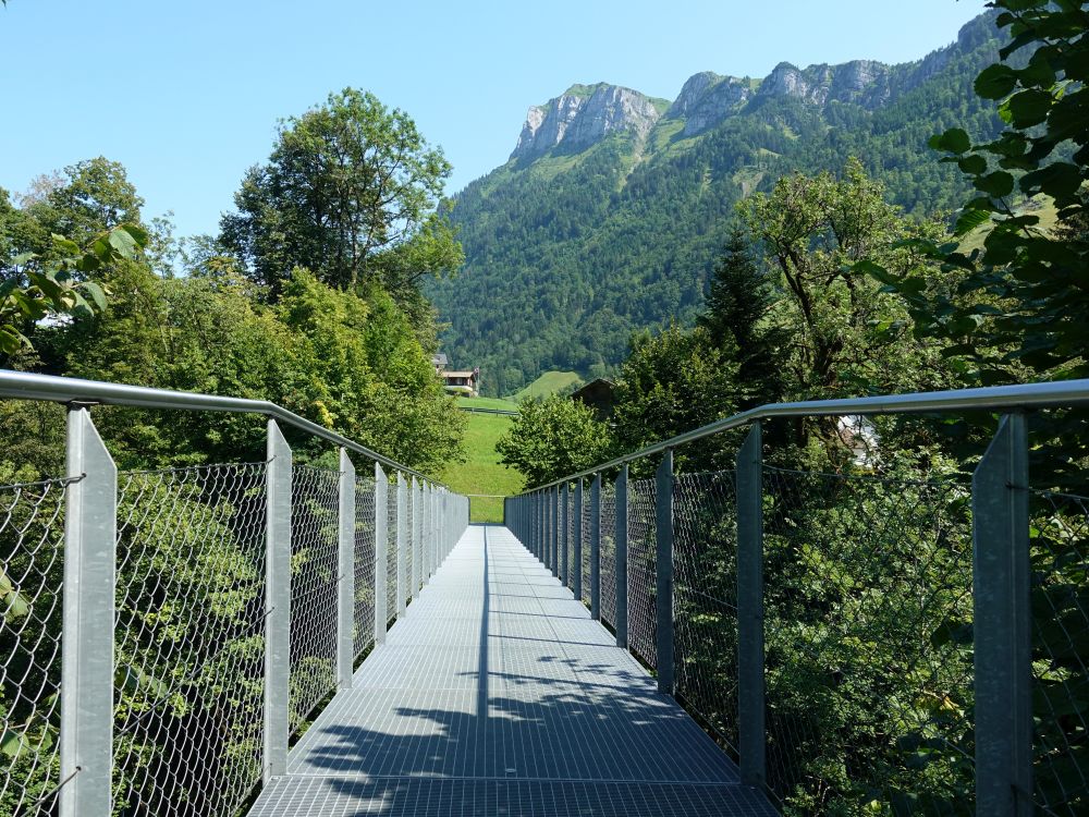 Schluchtwegbrücke und Niderbauen