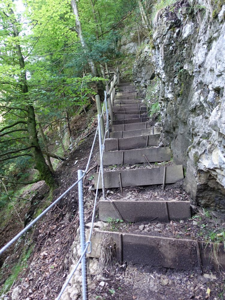 Treppe in Risletenschlucht