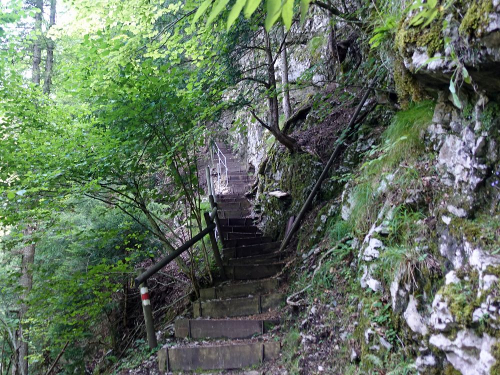 Treppe in Risletenschlucht