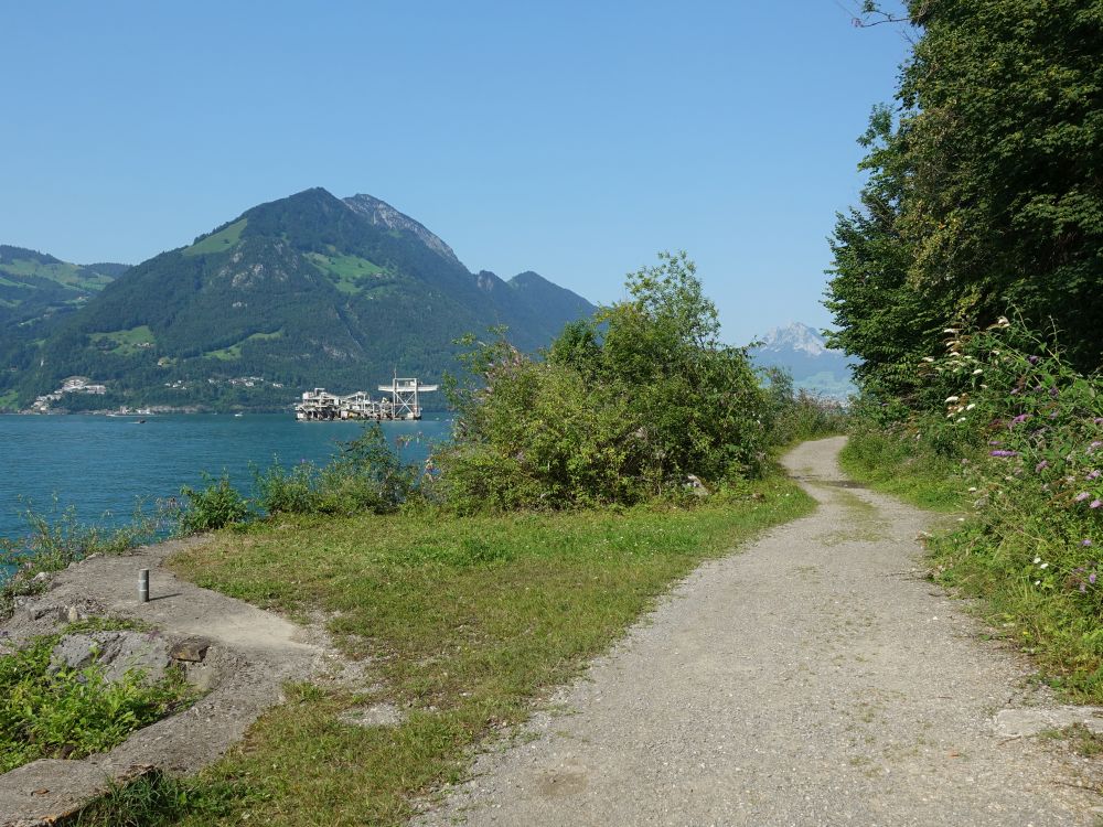 Uferweg und Rigi Flue