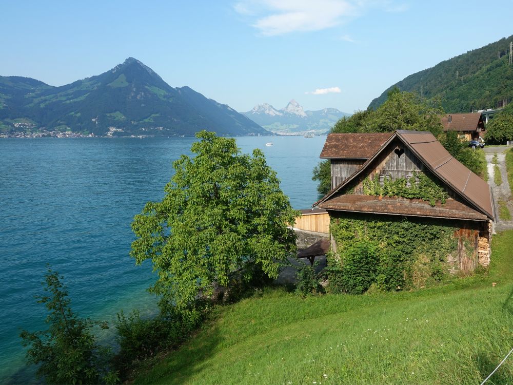 Bauernhaus und Rigi Flue