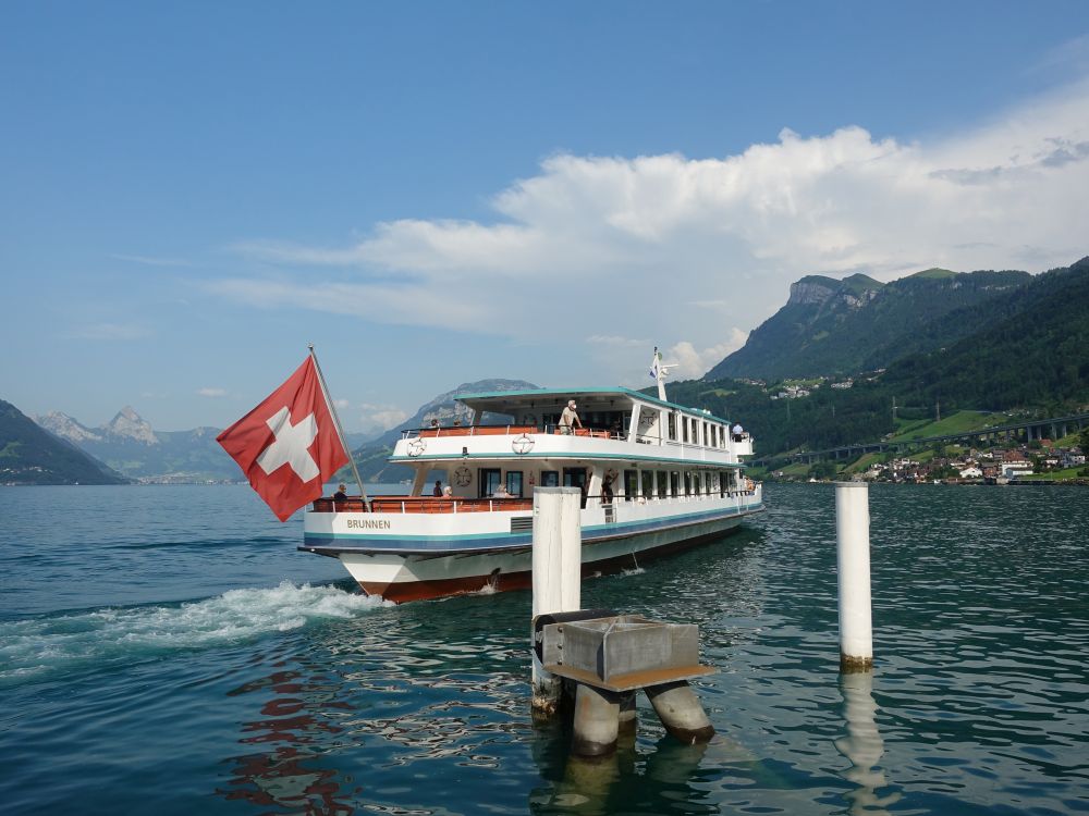 Passagierschiff Brunnen