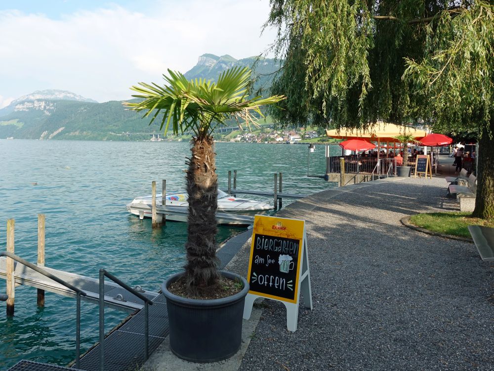 Am Biergarten in Beckenried