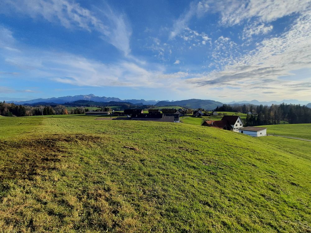 Moosruer mit Säntisblick