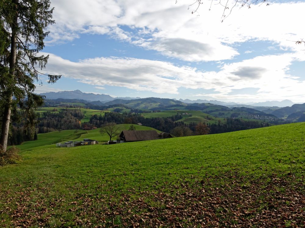 Säntis bis Speer