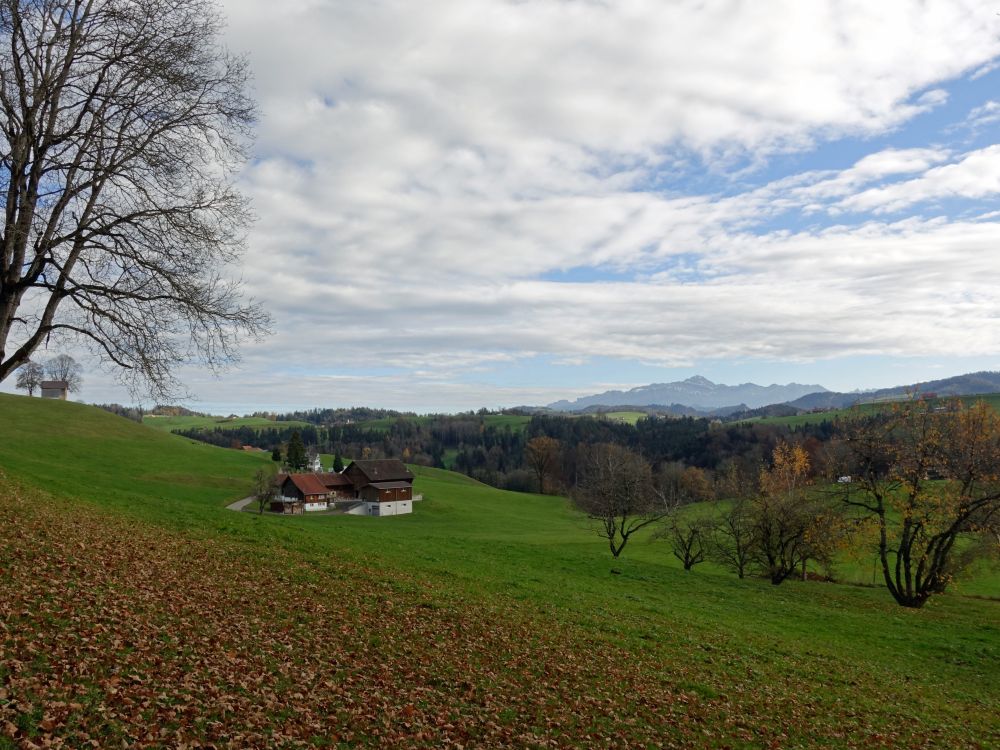 Dieselbach und Säntis