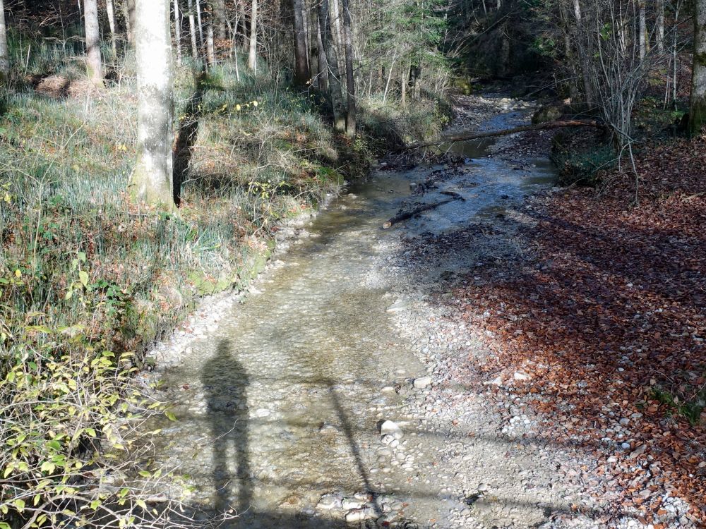 Schatten am Jomerbach