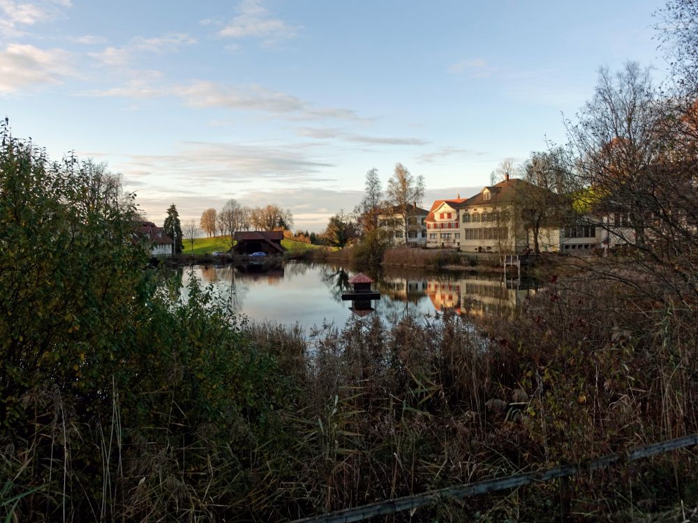 Magdenauer Weiher